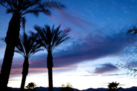 Palm Desert