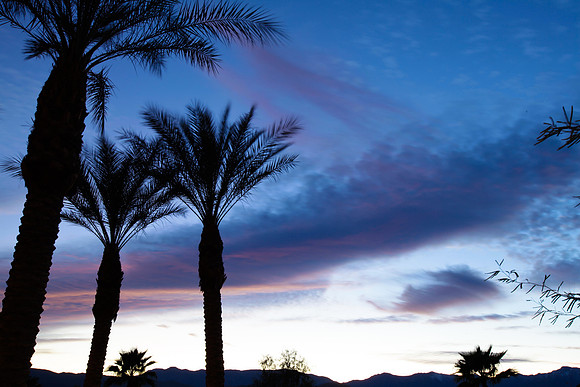 Palm Desert
