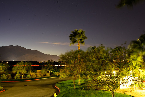 Palm Desert