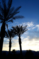 Palm Desert